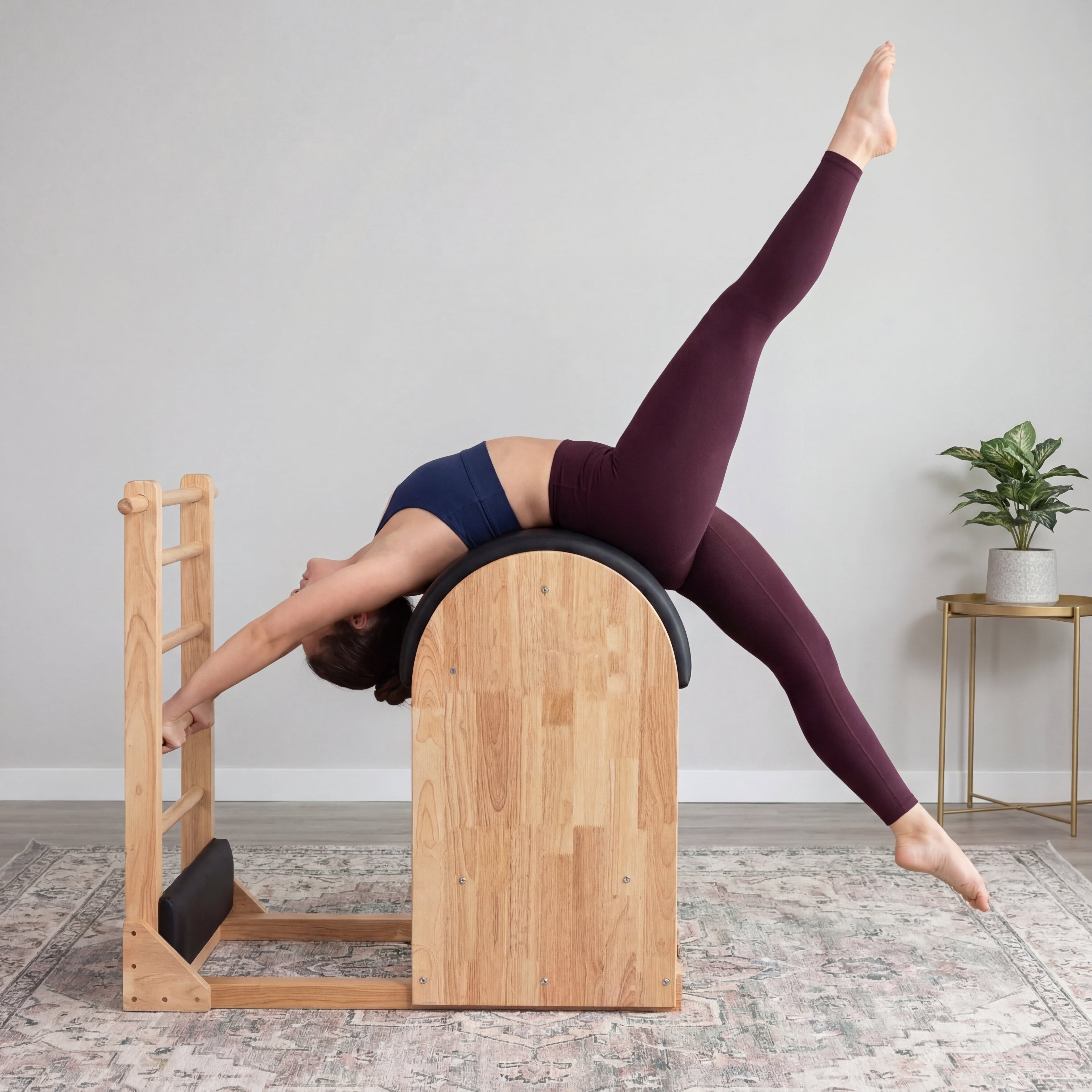 Pilates Barrel Ladder Image
